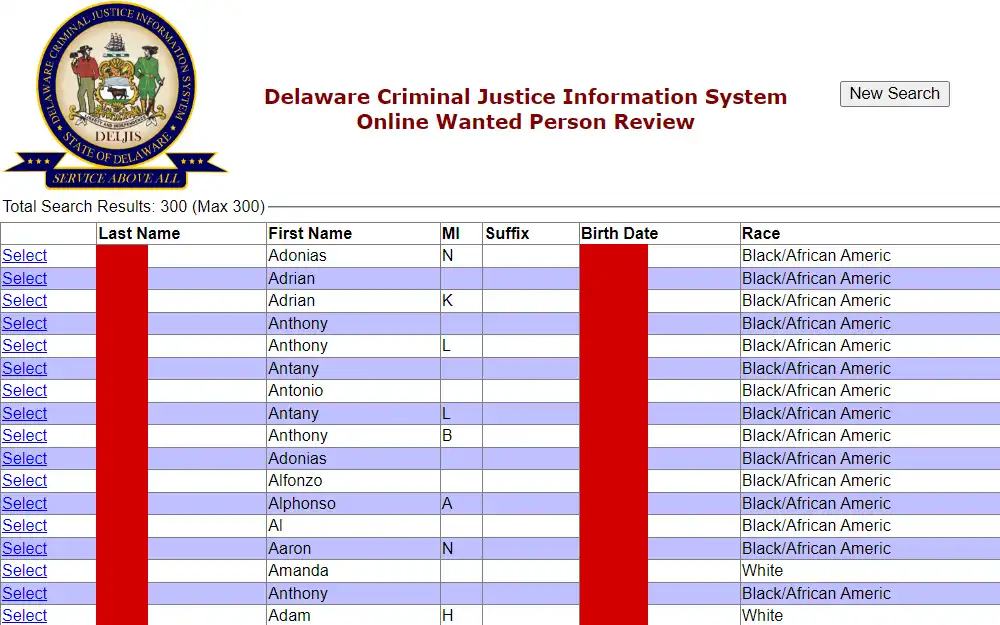 Screenshot of a portion of the online wanted person review showing the list of results, displaying birth dates, wanted people's names, and races.